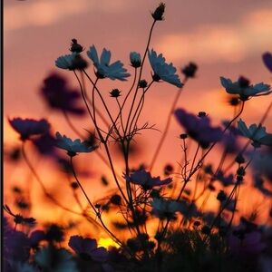 Meet your Posher, Bretta